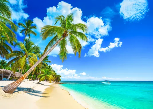 Punta Cana